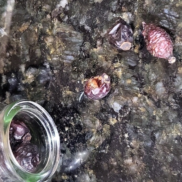 Cwi Gifts Glass Bottle in Basket with Dried Fruit / Popurri Cinnamon Scent - Picture 4 of 5